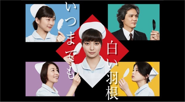 いつまでも白い羽根
